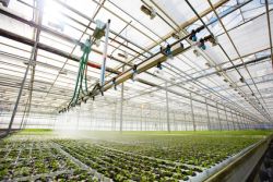 Régulateurs de pression d`eau, contrôleurs d`eau et vannes pour la technique domestique et d`irrigation